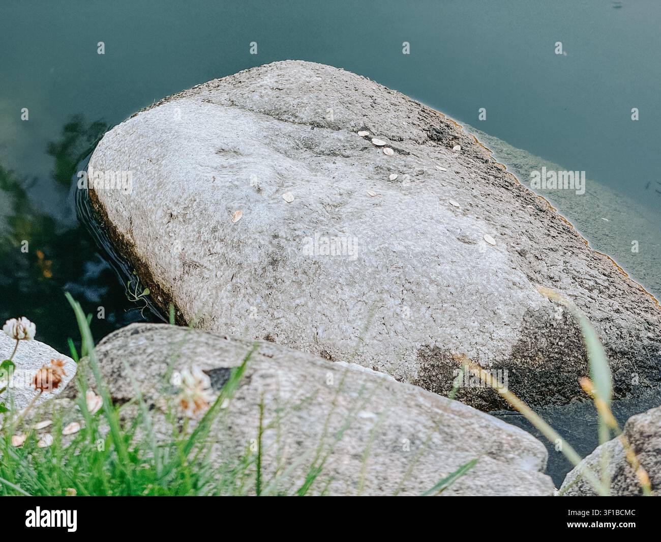 Prima piano di un grande masso di granito parzialmente sommerso nell'acqua calma di un lago, con texture di pietra naturale, riflessi morbidi e un ambiente tranquillo all'aperto Foto Stock