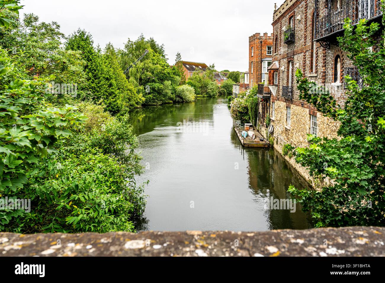 Il Tamigi visto dal Folly Bridge, con una rigogliosa vegetazione fluviale e barchette e chiatte ormeggiate lungo la riva, a Oxford, Inghilterra, Regno Unito Foto Stock