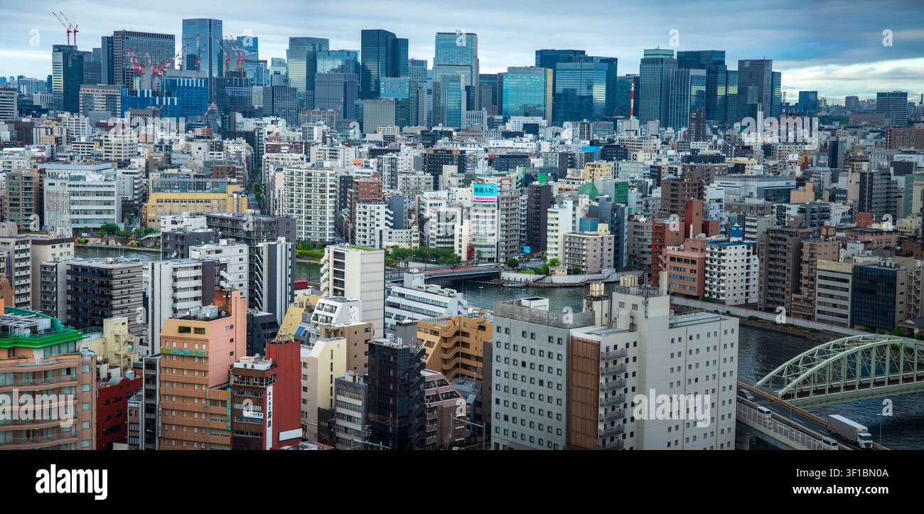 Vista panoramica ad angolazione alta della fitta città urbana di Tokyo, che mostra il fiume Sumida, il ponte Eitai e i grattacieli del distretto commerciale di Marunouchi Foto Stock