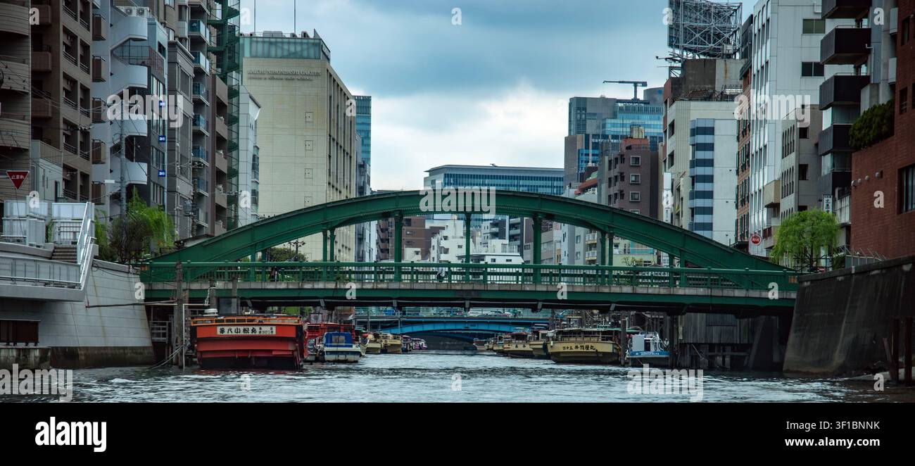 Barche yakatabune tradizionali ormeggiate sul fiume Kanda vicino al ponte storico di Yanagibashi, situato proprio alla confluenza con il fiume Sumida a Tokyo Foto Stock
