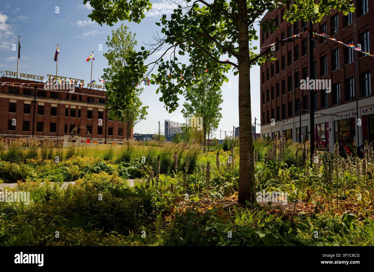 Verdura urbana in un parco accanto ad edifici per uffici, Aire Park, Leeds, West Yorkshire. Foto Stock