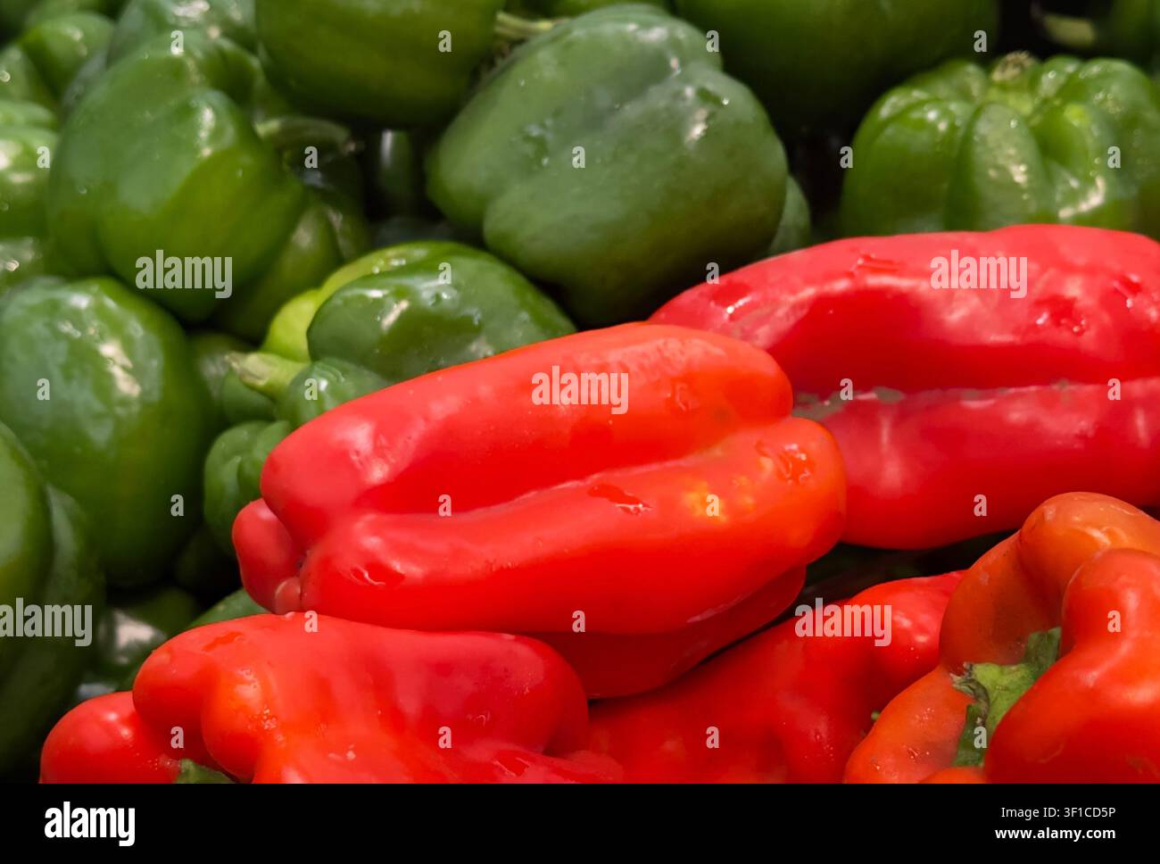 Peperoni rossi e verdi vivaci Foto Stock