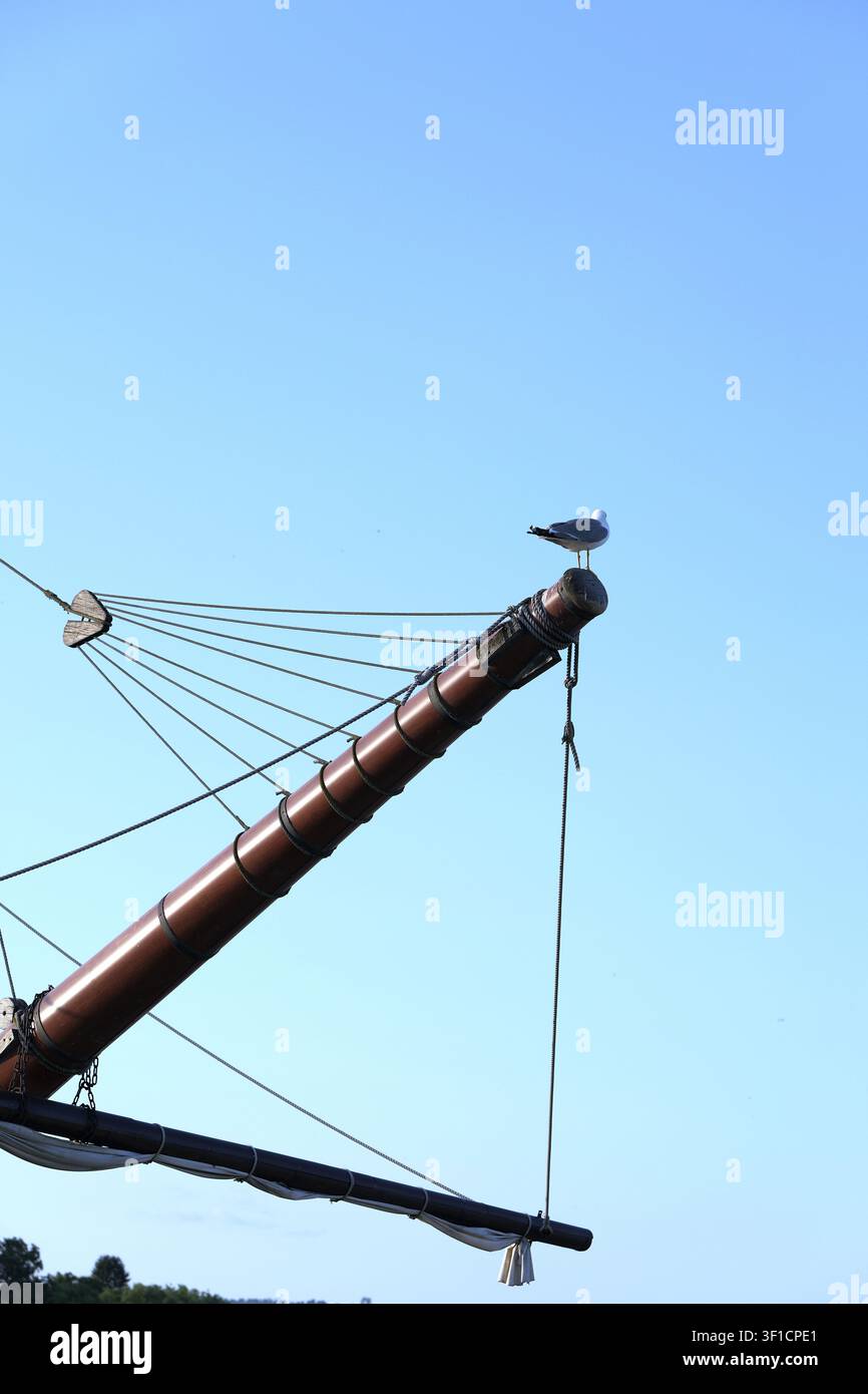 Gabbiano appollaiato sulla cima dell'albero maestro e del boma di una barca a vela in legno, che gode del vasto cielo blu chiaro sopra un oceano o un lago, incarnando un senso di libertà Foto Stock