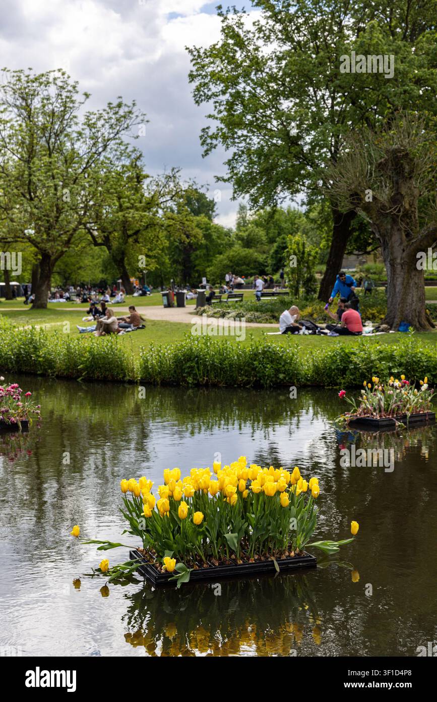 Una bella giornata di primavera al Vondelpark, il parco pubblico più famoso di Amsterdam nei Paesi Bassi, dove locali e visitatori si riuniscono per rilassarsi. Foto Stock