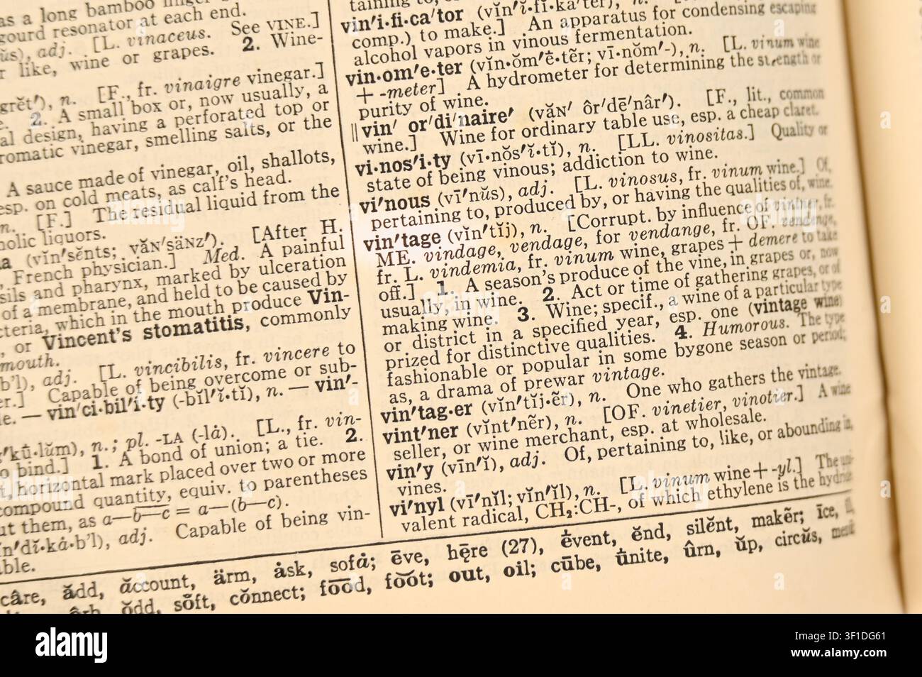 Parte di pagina di un dizionario antico e invecchiato degli anni '20 che evidenzia la parola vintage Foto Stock