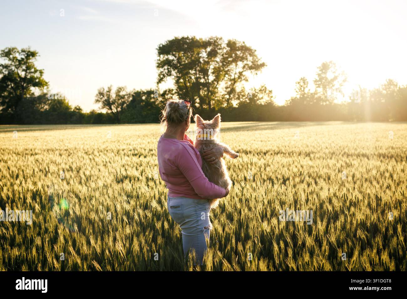 Donna con il suo cane in piedi in un campo che godono il tramonto estivo. Rilassamento in campagna durante una passeggiata con il cane Foto Stock