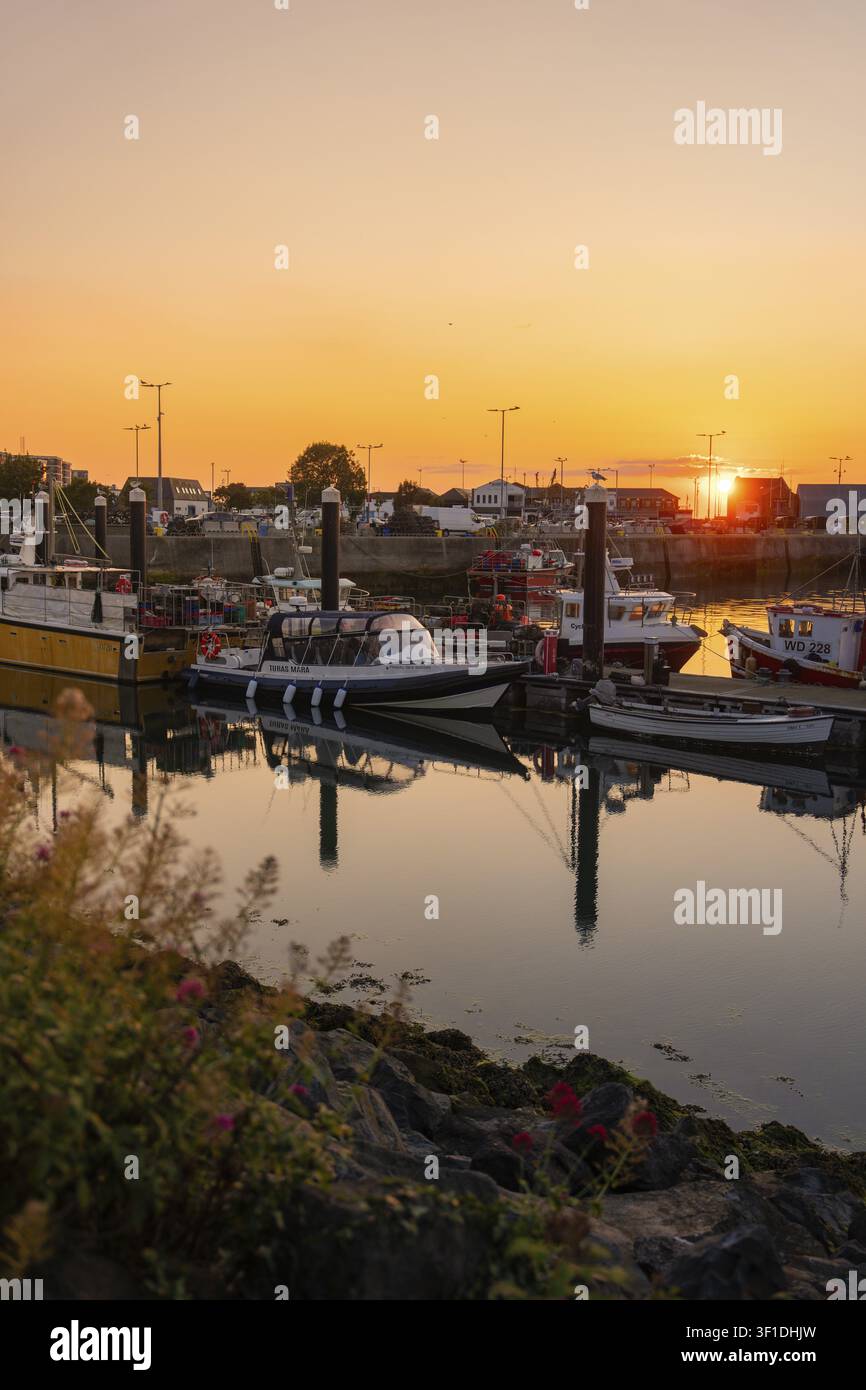 Porto con barche al tramonto, acqua calma che riflette colori caldi, Howth, Irlanda Foto Stock