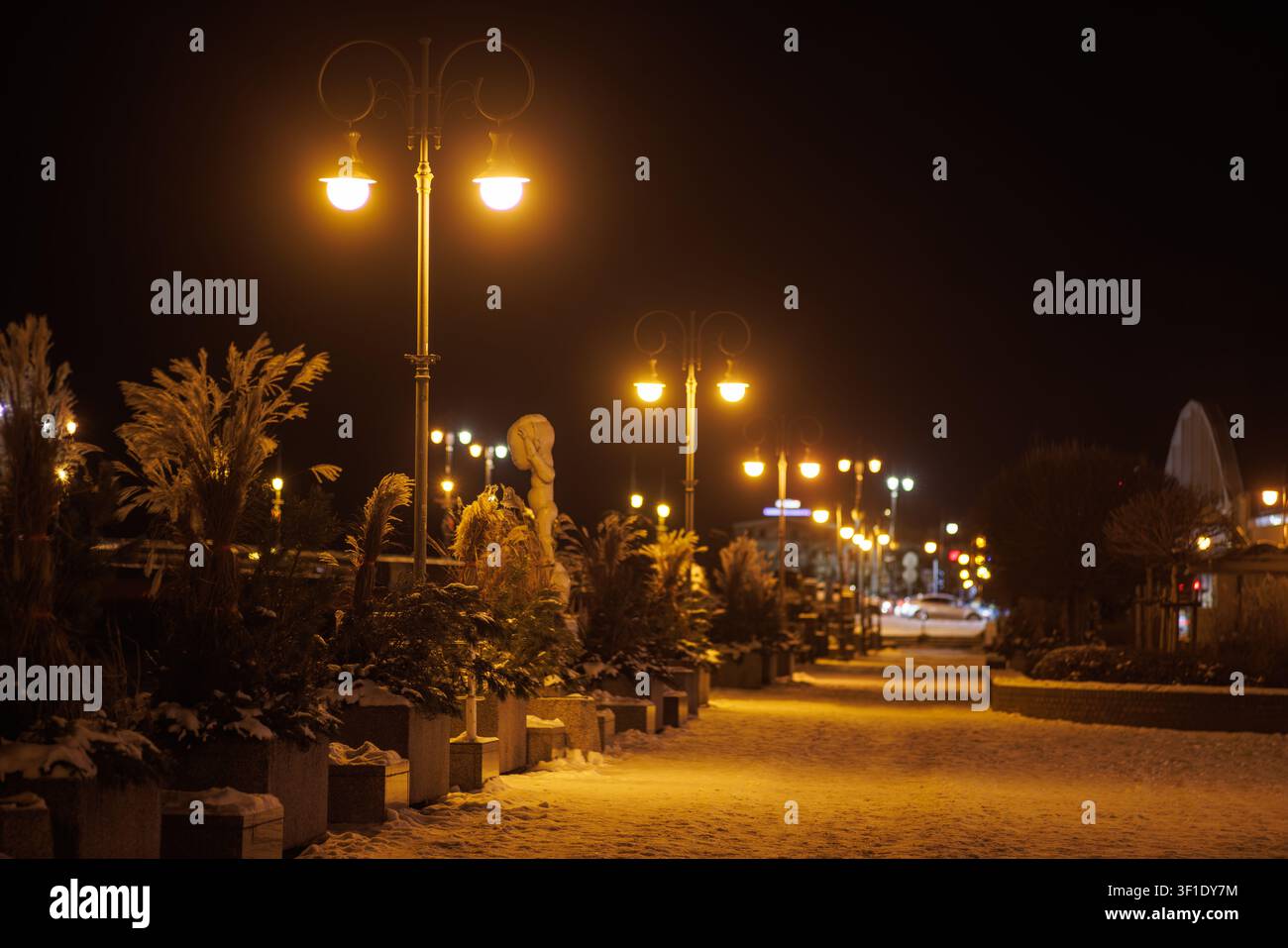 L'argine della città a Gorzow Wielkopolski in una notte d'inverno nebbiosa con lanterne illuminate, aiuole coperte di neve e sculture. Foto Stock