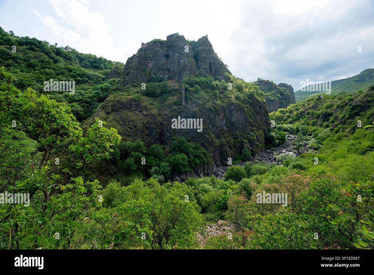 Drammatiche scogliere di basalto vulcanico si innalzano bruscamente sopra una gola fluviale lussureggiante e densamente boschiva nella regione di Lori, Armenia Foto Stock