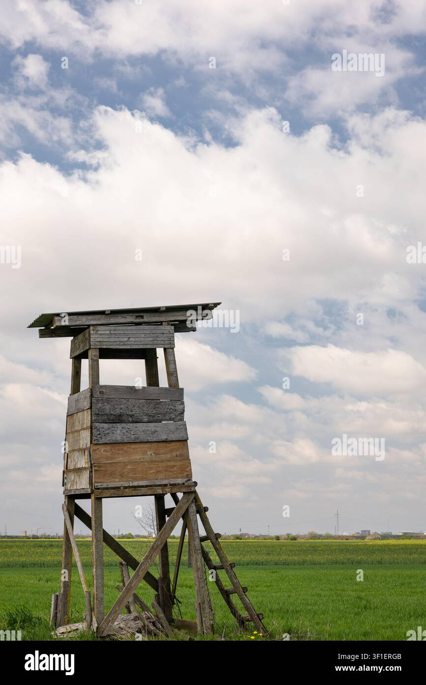 Un capannone di caccia in legno stagionato si erge sopra un campo verde vibrante, incorniciato da una campagna aperta e da un drammatico cielo blu nuvoloso, che trasmette solitudine, rus Foto Stock