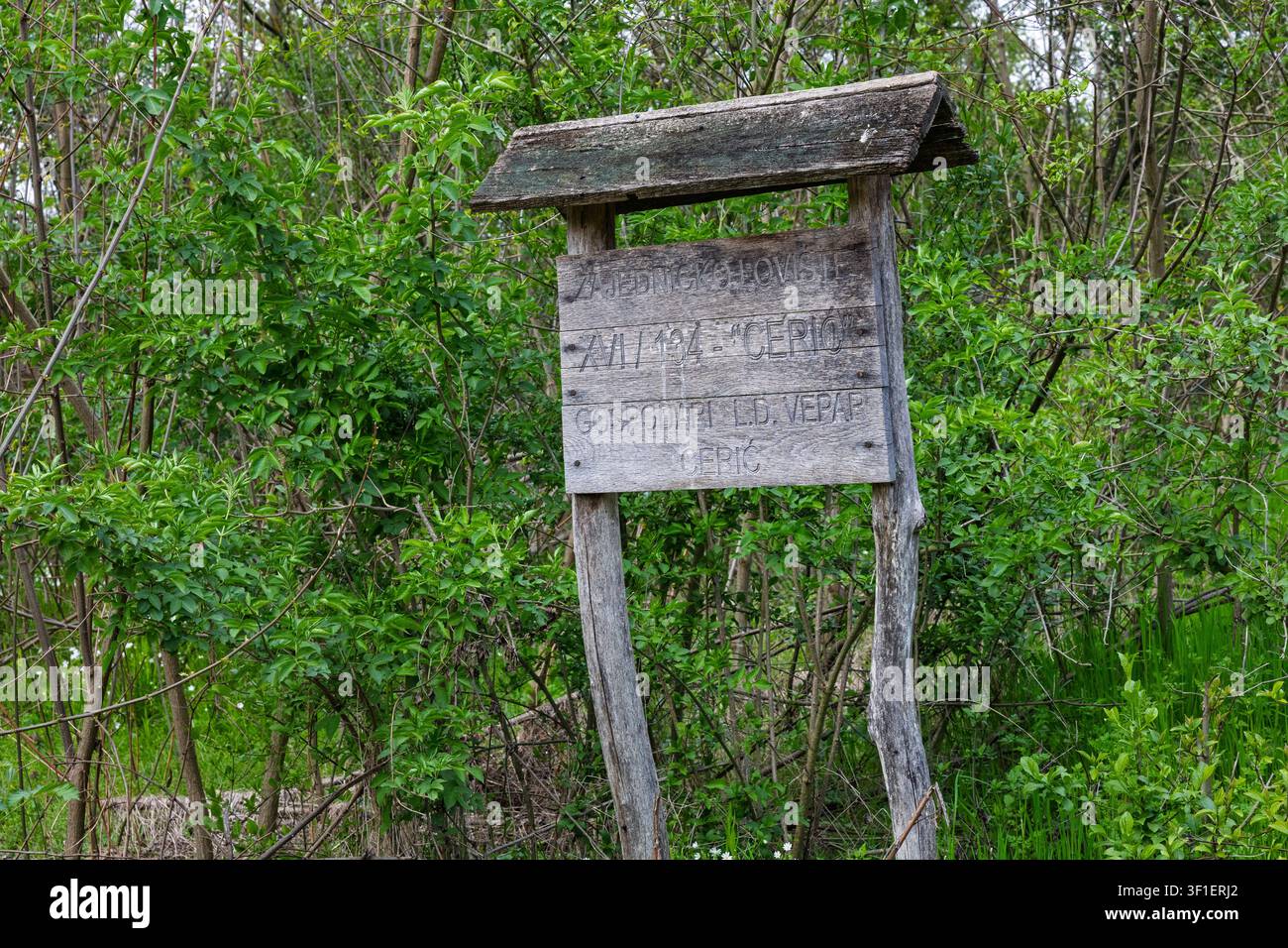Un cartello di legno stagionato si erge tra arbusti e alberi verdi fitti, le sue lettere scolpite a mano sbiadite accennano a un sentiero dimenticato o all'ingresso di un prato Foto Stock