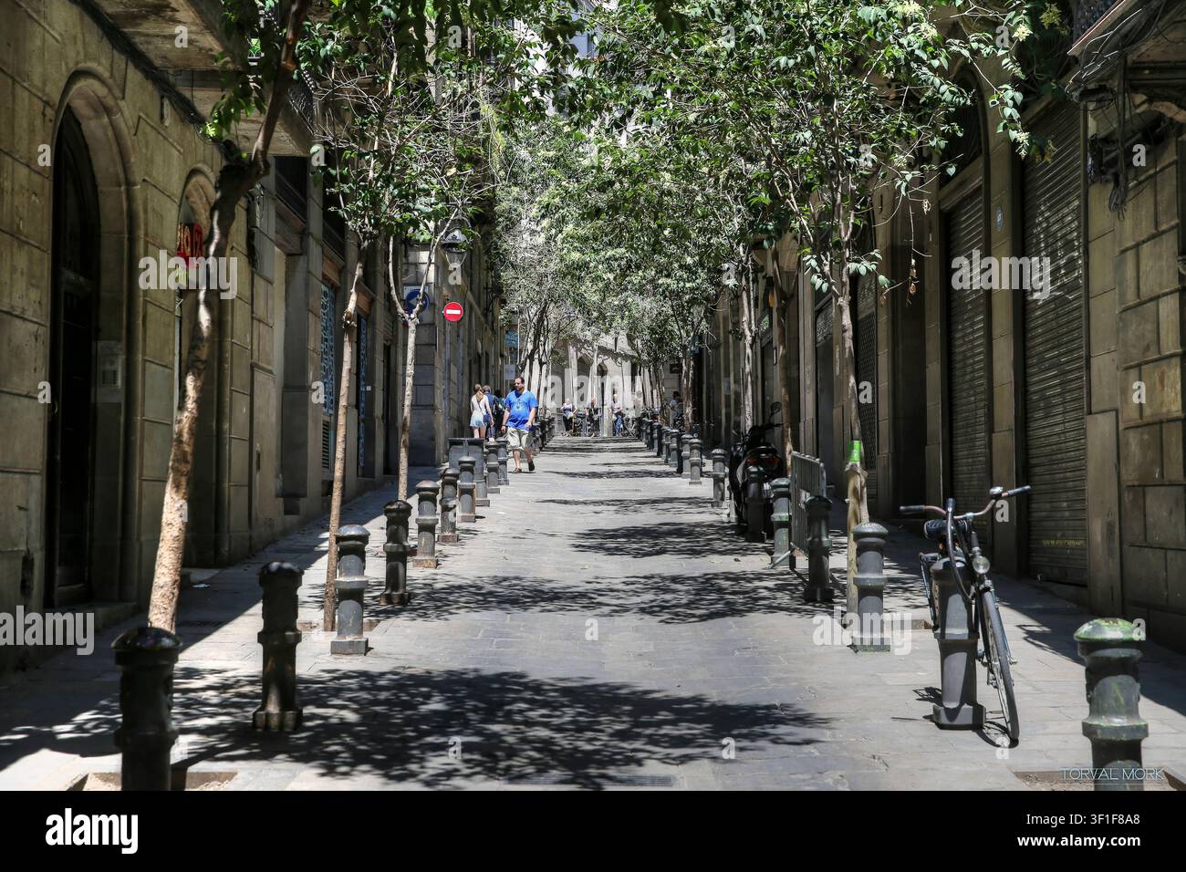 Viale pedonale alberato nel centro storico di Barcellona, Spagna. Foto Stock