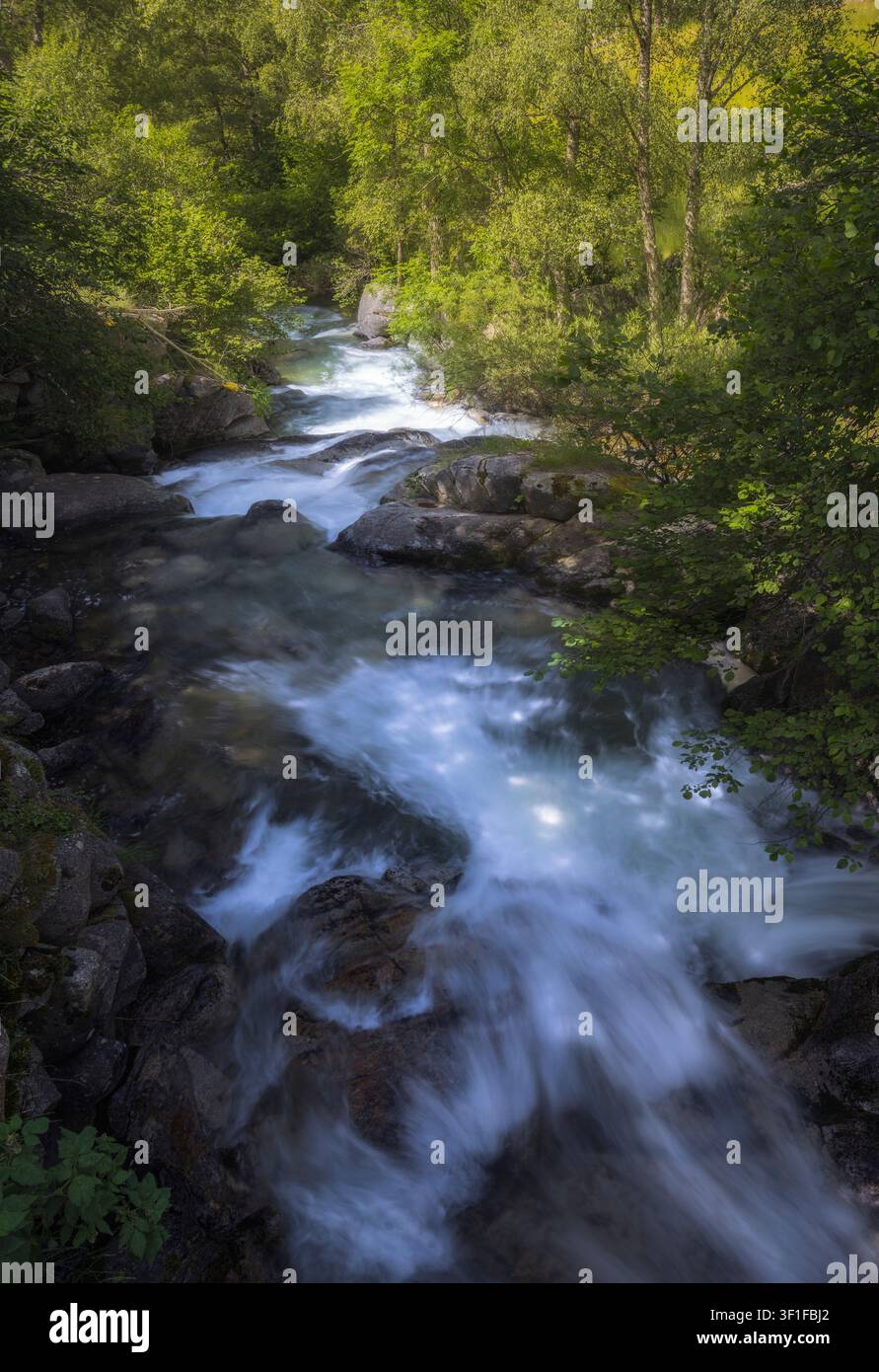 Una scena tranquilla che mostra un fiume che scorre dolcemente e cade a cascata su rocce a lles, Cerdanya, Catalogna Foto Stock