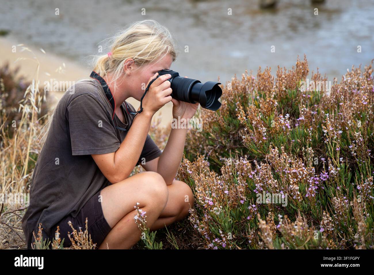 Una donna bionda con una fotocamera si concentra su piccoli fiori viola in un ambiente costiero, documentando il mondo naturale Foto Stock