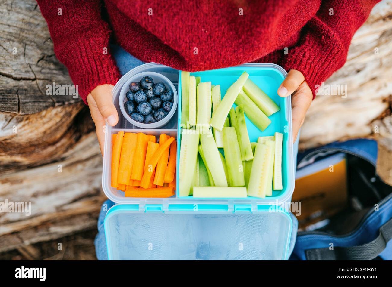 Portapranzo sano con verdure e mirtilli all'aperto Foto Stock