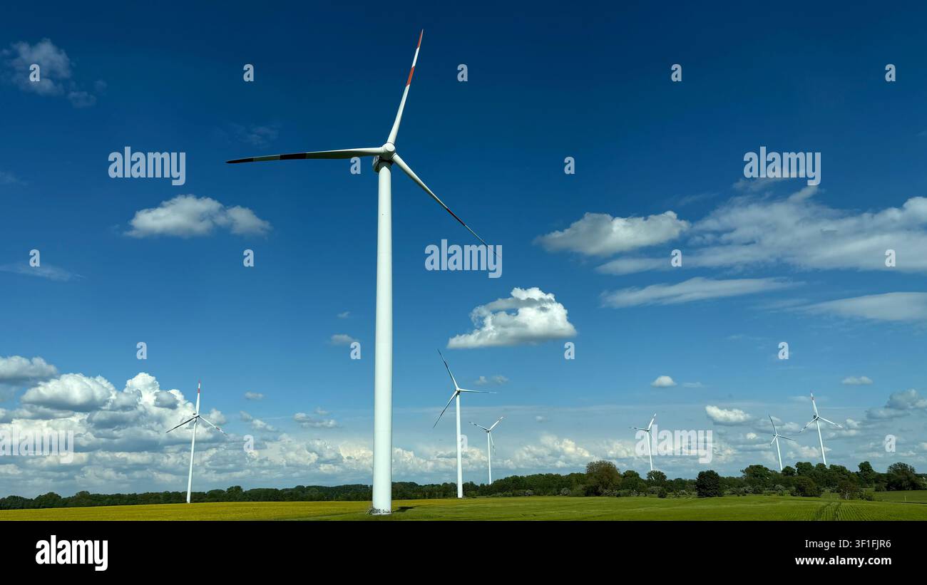 Turbine eoliche che si ergono alte in un campo verde sotto un cielo blu brillante con nuvole sparse Foto Stock