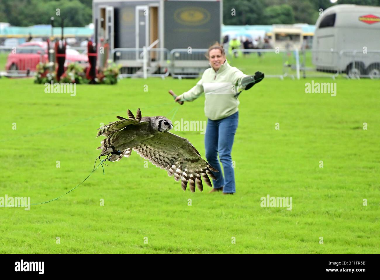 Spettacolo di falconeria alla Royal Lancashire Agricultural Show, 2026 Foto Stock