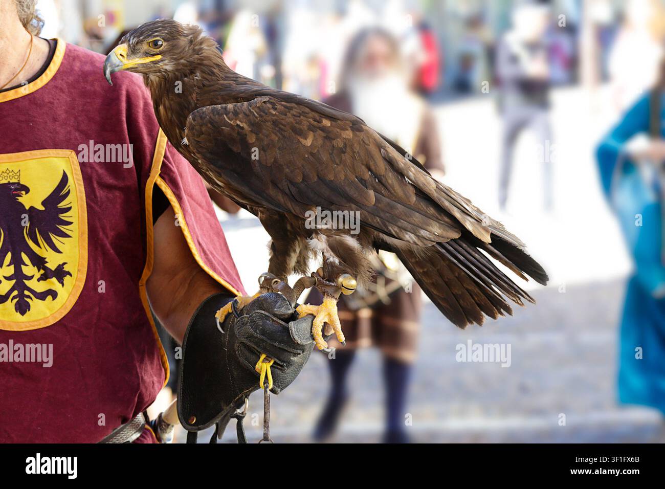 Falconiere che tiene un'aquila maestosa durante una dimostrazione all'aperto in un evento storico o medievale. Foto Stock