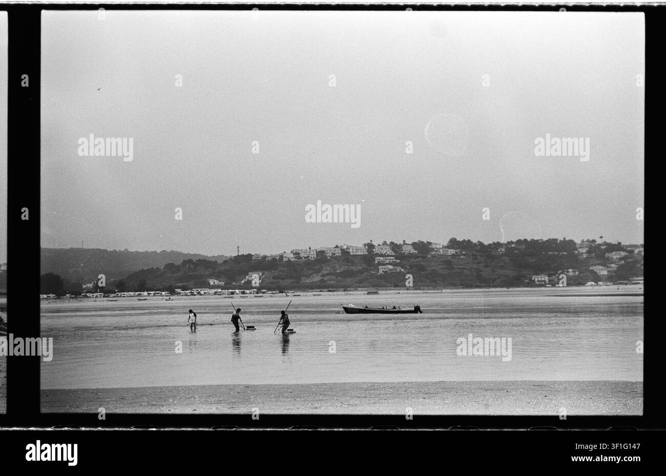 Fotografia documentaria analogica in bianco e nero di persone che lavorano in acque basse della marea con attrezzi a manico lungo e contenitori accanto a una piccola barca, wit Foto Stock
