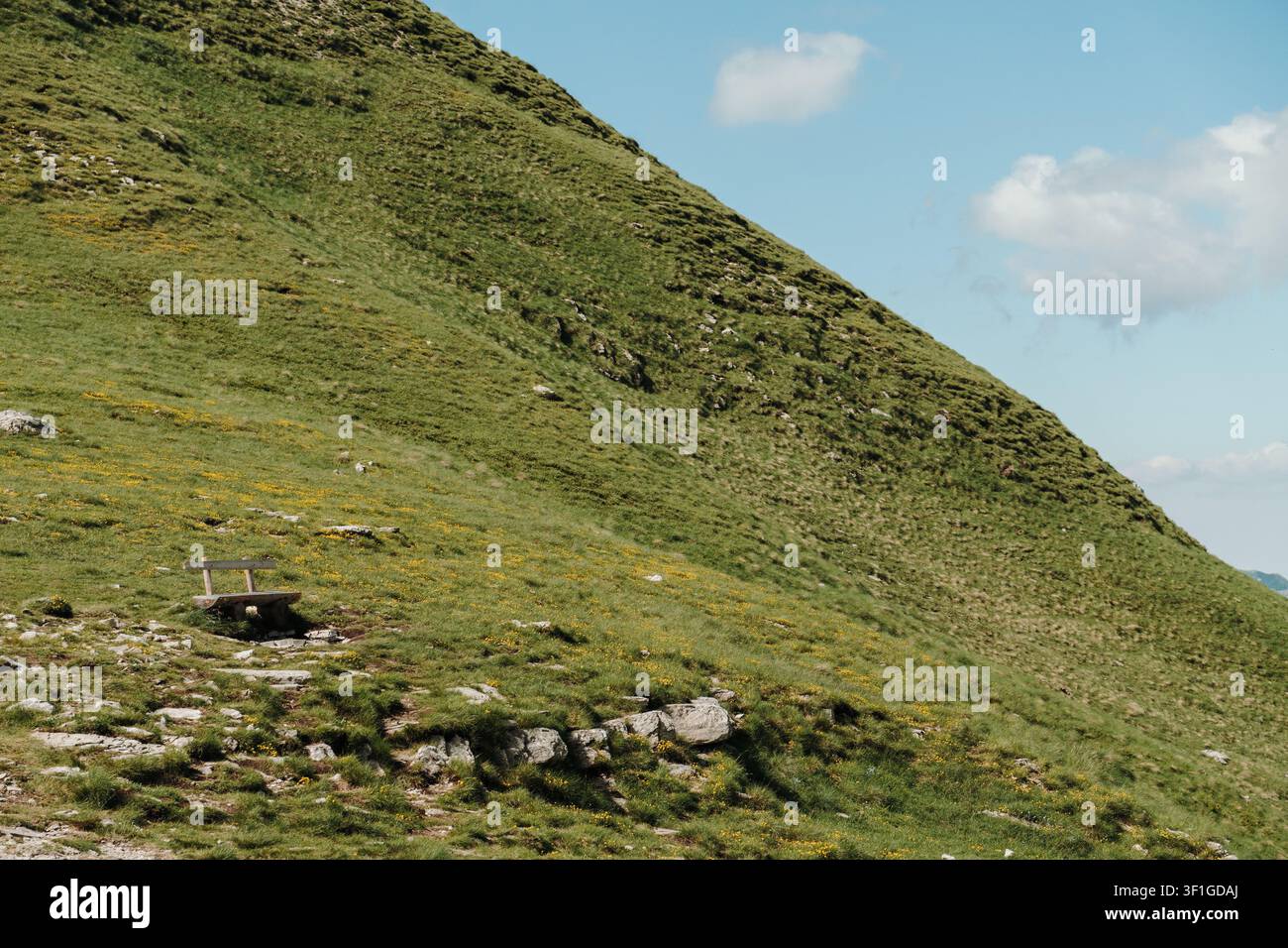Panchina di legno che si affaccia su un tranquillo prato di montagna nel Parco Nazionale del Durmitor, Montenegro. Un luogo di riposo silenzioso circondato da prati alpini e Foto Stock