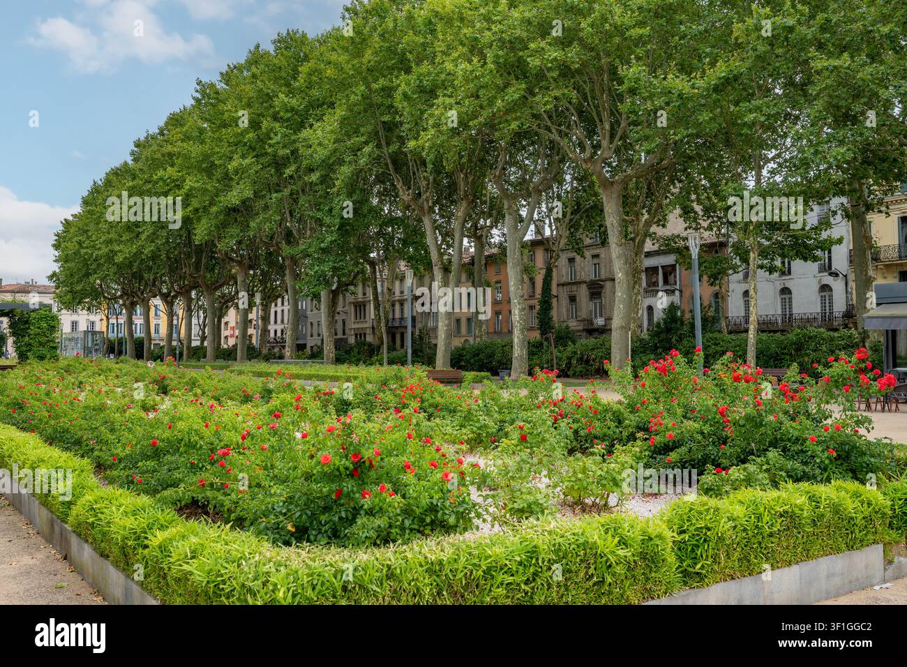 Giardino, Piazza Gambretta, Carcassonne, Occitania, Francia Foto Stock