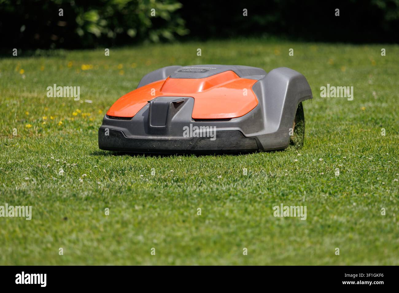 Un robot rasaerba si muove in modo autonomo su erba verde in un giardino residenziale. Taglia l'erba senza aiuto umano. Foto Stock