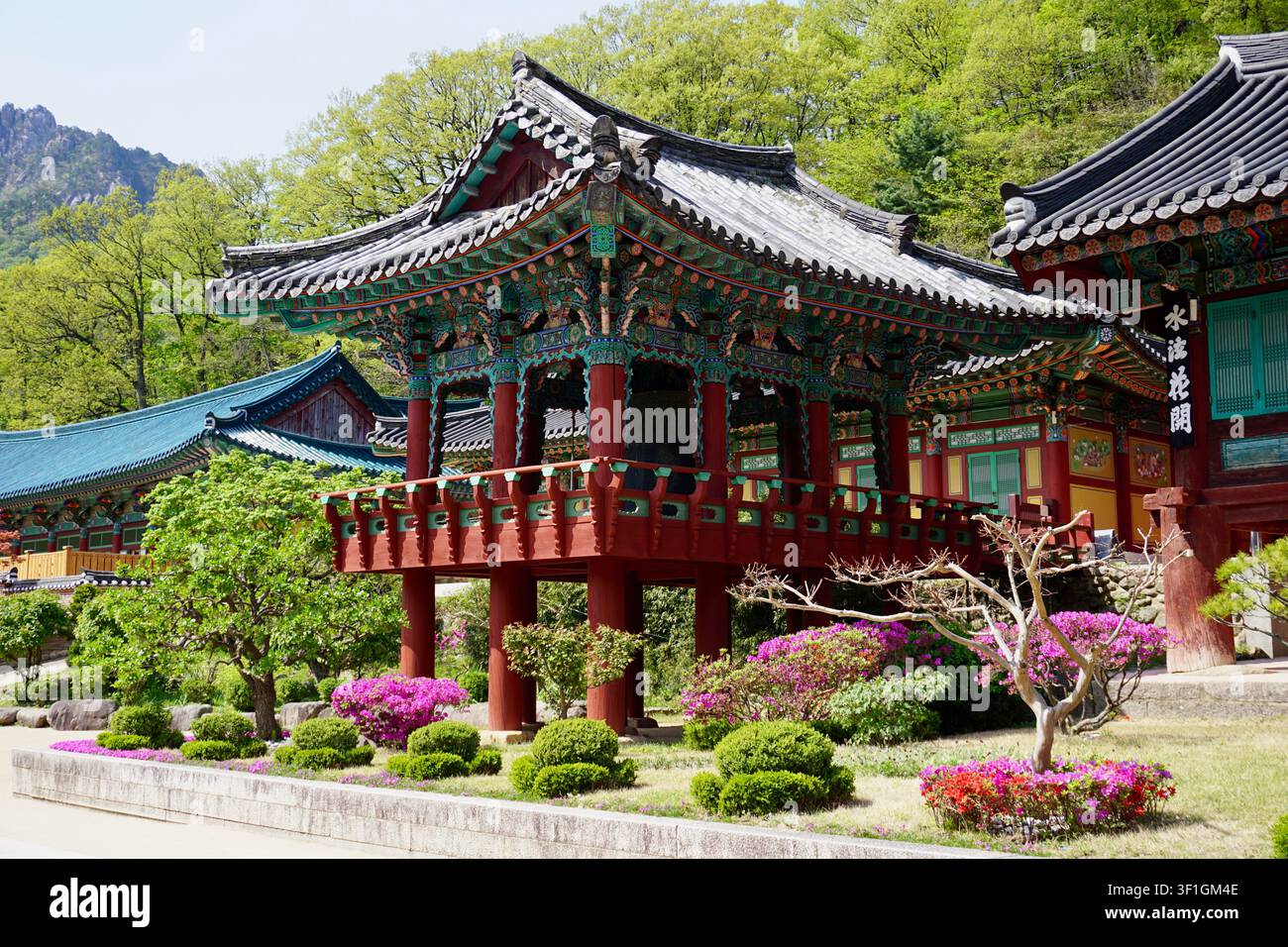 Dettaglio della parte inferiore di un tetto di tempio buddista tradizionale coreano, decorato con colori vivaci e motivi dipinti intricati. Foto Stock