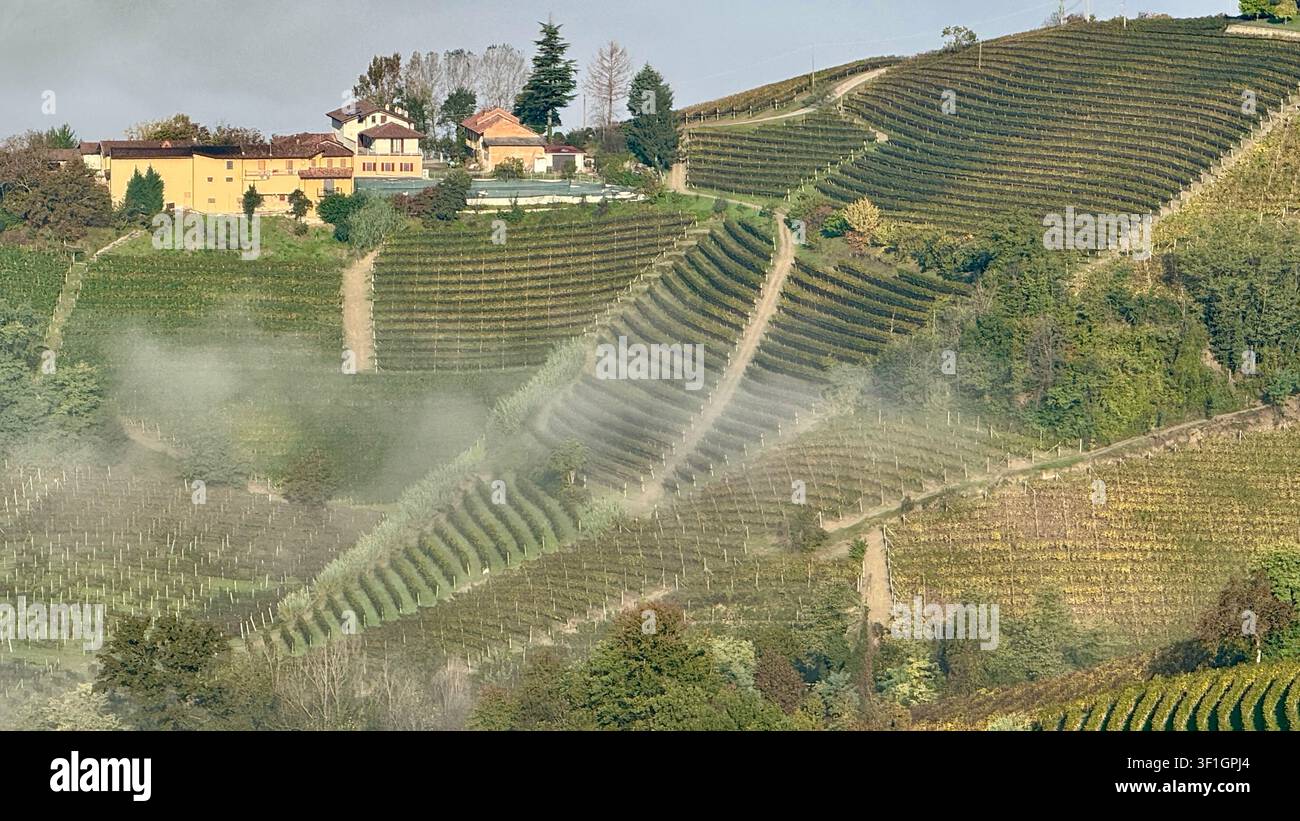Paesaggio viticolo delle Langhe visto dalla città di Serralunga d'Alba Langhe Piemonte Italia Foto Stock