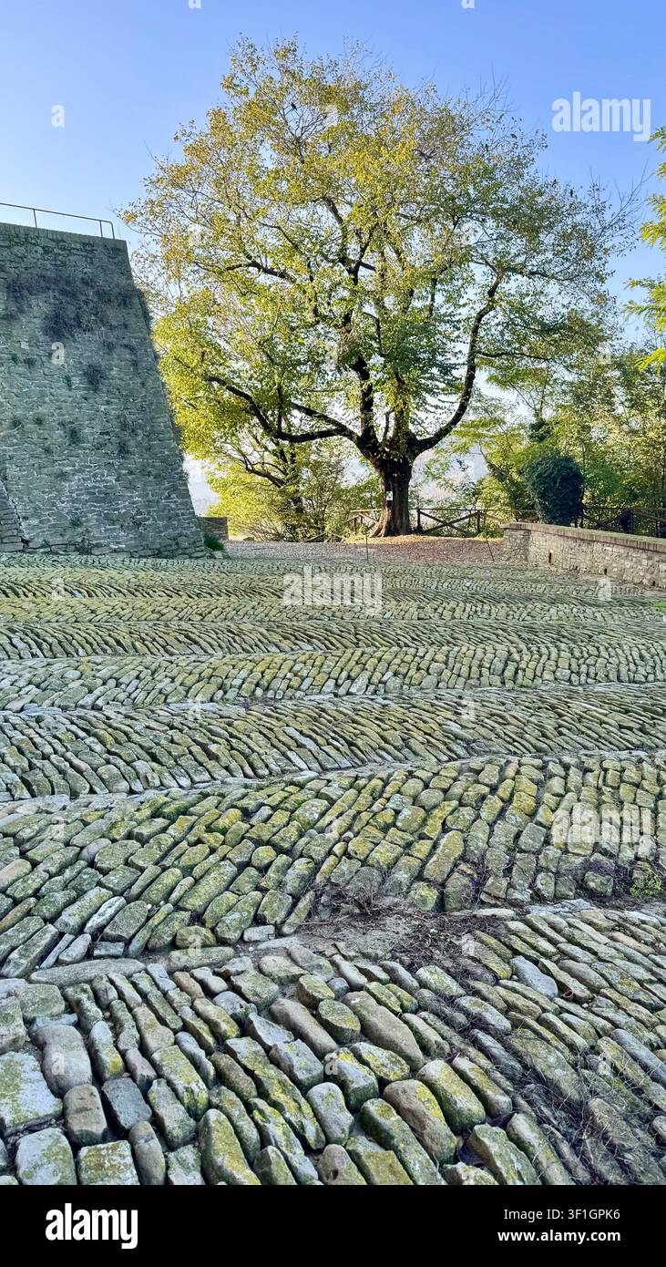 Cortile lastricato nel Castello di Serralunga Serralunga d'Alba Langhe Piemonte Italia Foto Stock