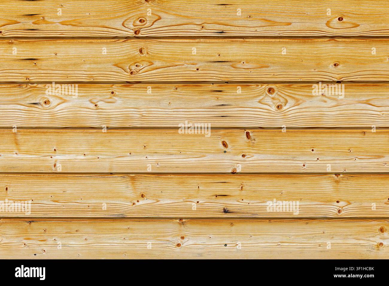 Panne di legno dorate con venatura e nodi naturali. Primo piano di panne di legno dorate orizzontali con venatura, nodi, cuciture e toni naturali caldi visibili Foto Stock