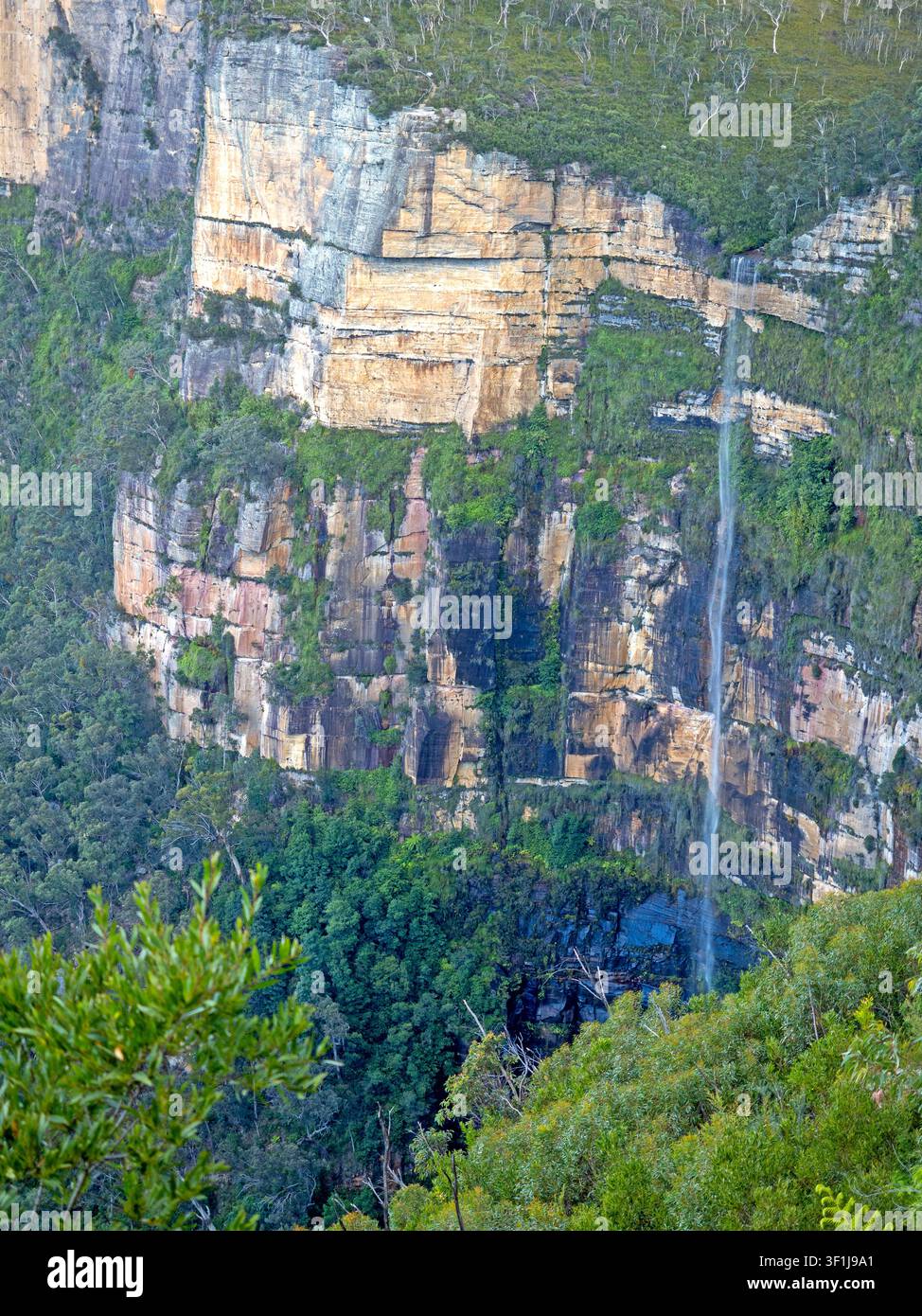 Bridal Veil Falls, il Parco Nazionale Blue Mountains Foto Stock
