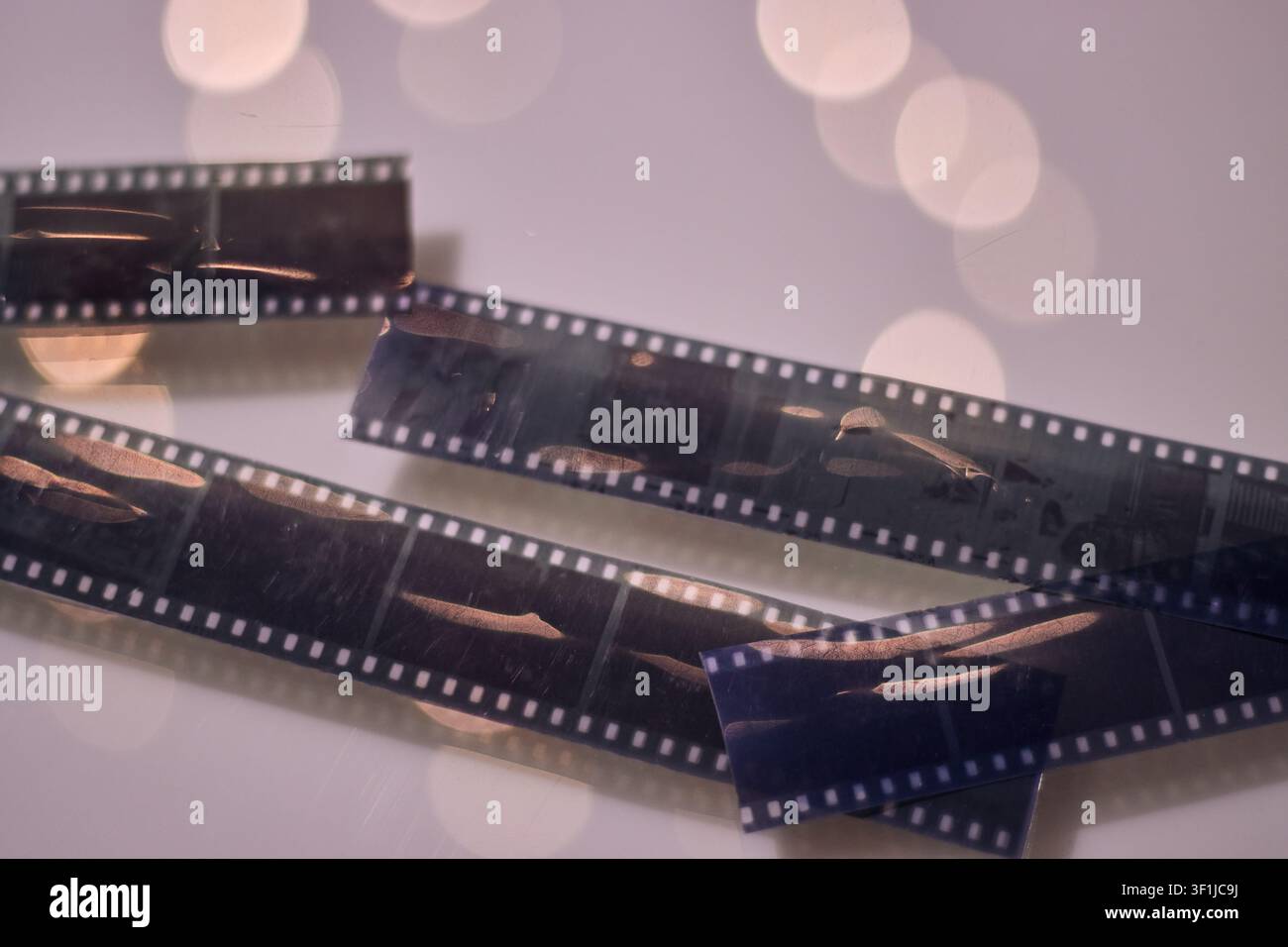 Vista di rotoli fotografici che mostrano alcune delle loro scene, con illuminazione fioca e in buone condizioni. Esposti al pubblico. Analogico, vintage Foto Stock