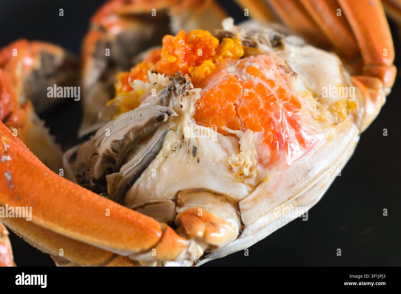 Primo piano di un granchio cotto con uova arancioni brillanti e carne bianca su uno sfondo scuro, che mostra una ricca consistenza di frutti di mare e un fresco fascino gourmet. Foto Stock