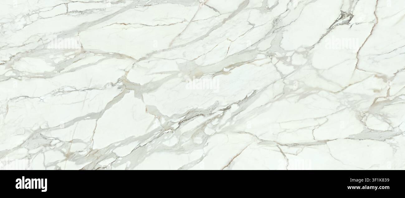 Una lastra di marmo bianco Calacatta di alta gamma con venature grigie e dorate distinte. Foto Stock