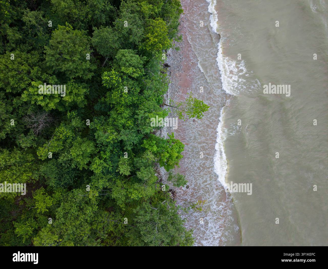 Costiera del Mar Baltico con alte scogliere costiere sulla costa settentrionale dell'Estonia Foto Stock