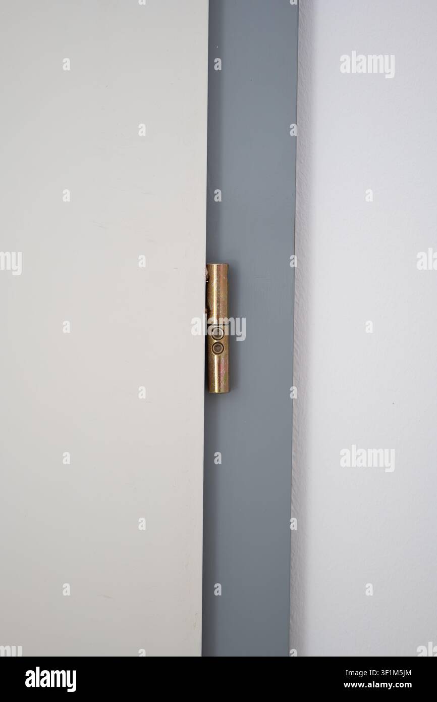 Un piano verticale in primo piano che si concentra su una cerniera a vite in metallo dorato fissata a un anello di porta bianco minimalista e al suo telaio dipinto di grigio, posizionato davanti a un Foto Stock