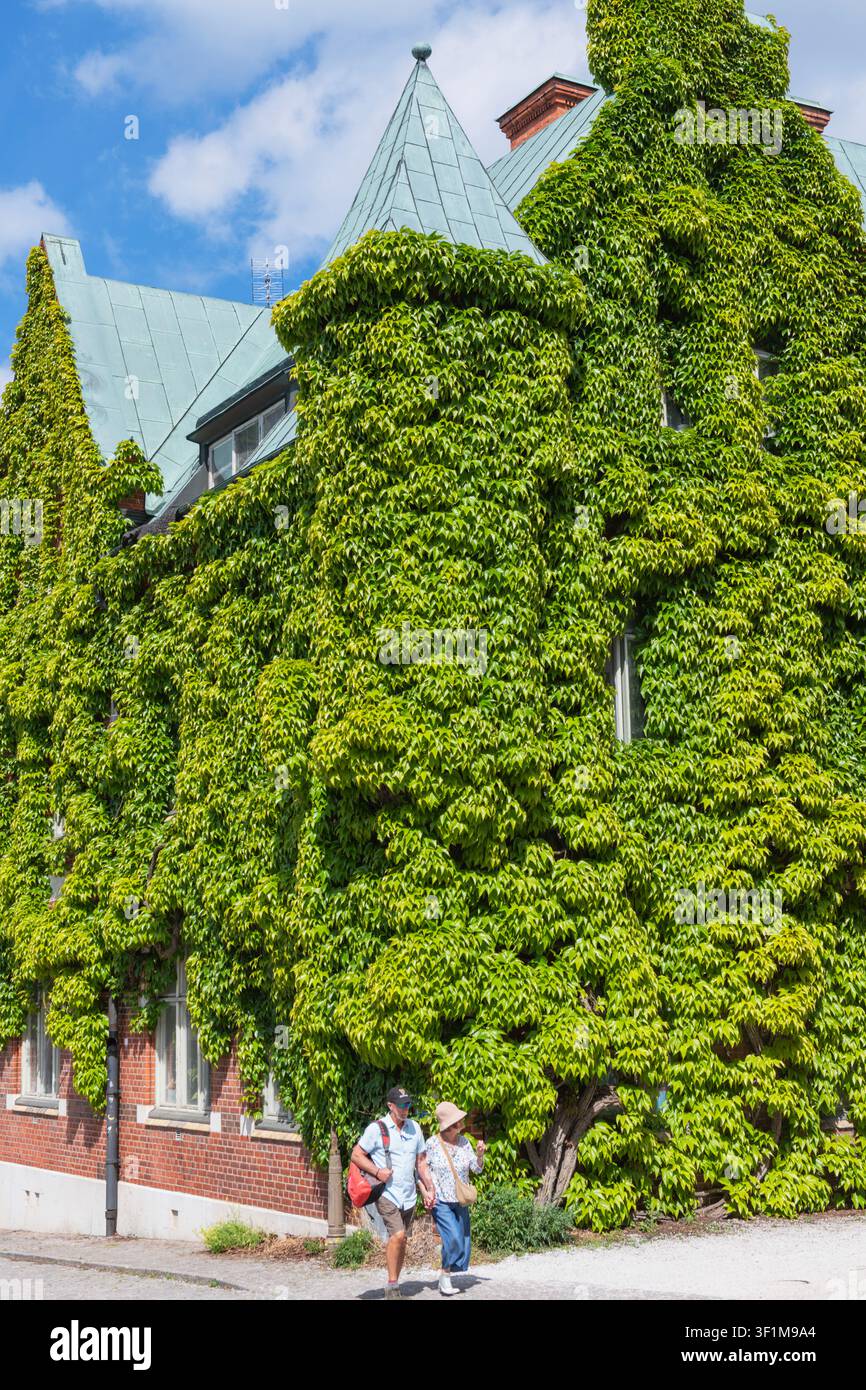 Casa ricoperta di edera a Gotland, Visby, Svezia, giugno 2026 Foto Stock