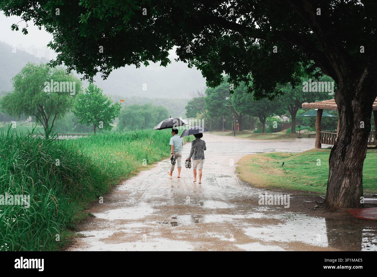 Stile di vita semplice e sano di mezza età con una passeggiata a piedi nudi attraverso un parco verde sotto la pioggia Foto Stock