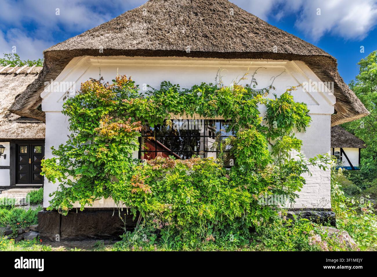 Casa di campagna idilliaca con fascino naturale, ideale per contenuti di viaggio, immobiliare e lifestyle Foto Stock