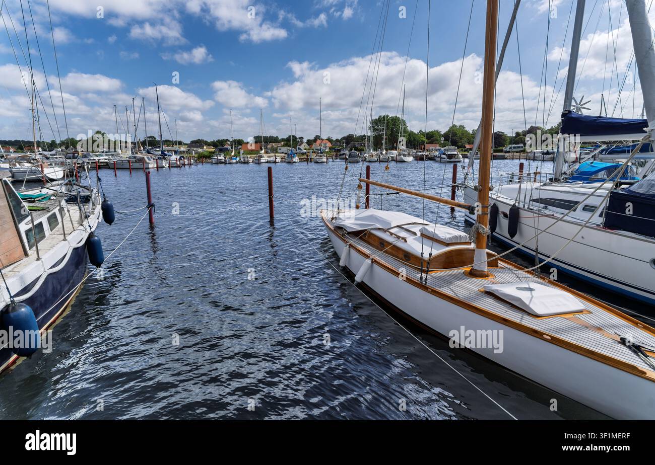 Scena premium di marina con barche di lusso, ideale per viaggi, lusso e promozioni aziendali Foto Stock