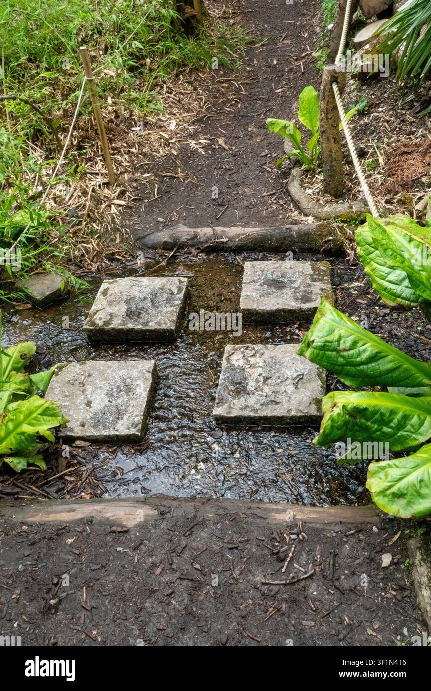 Gradini di pietra su un ruscello o un torrente Foto Stock