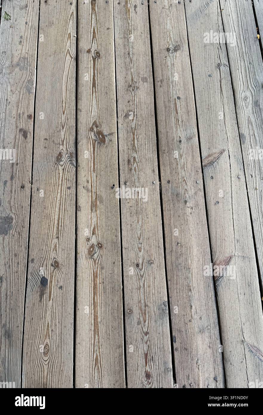 Primo piano della trama di assi di legno del ponte consumate con venatura e teste di chiodi visibili. - Immagine stock catturata con smartphone