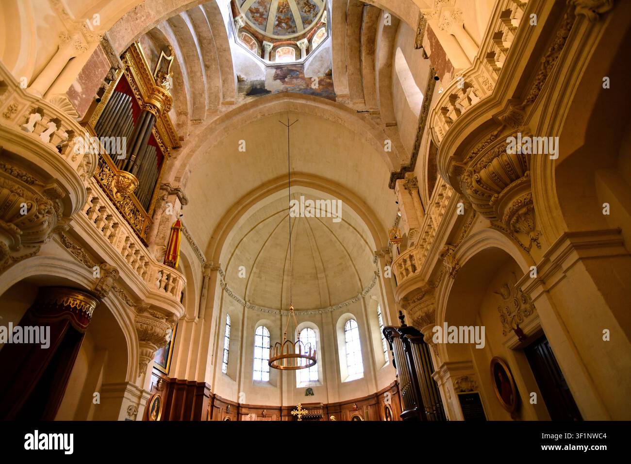 Cattedrale di Avignone, Provenza, Francia Foto Stock