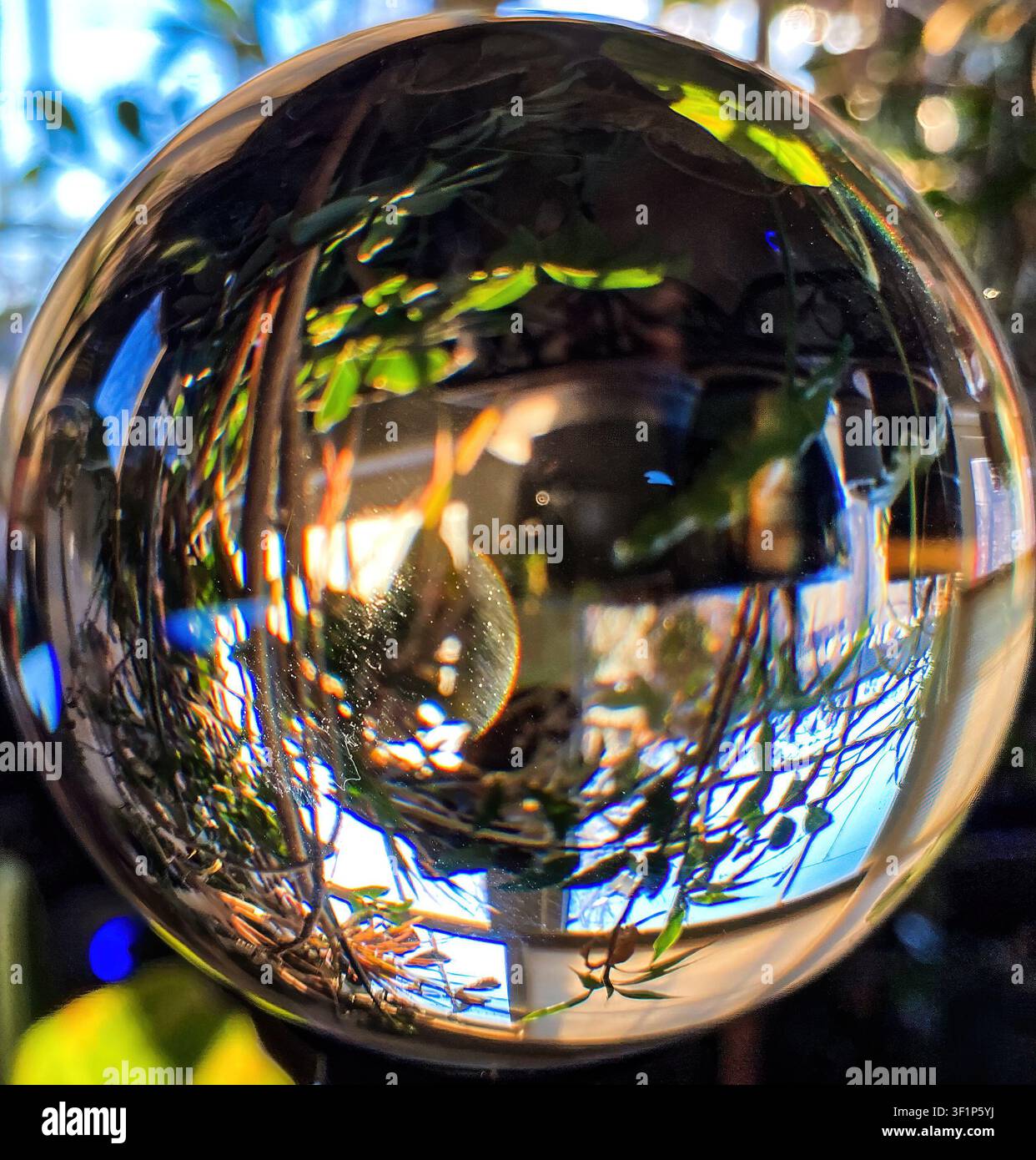 Il futuro dell'ambiente è incerto Foto Stock