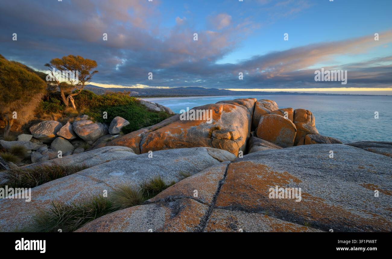Massi coperti di licheni nella sezione Sloop Rocks dell'area di conservazione di Bay of Fires in Tasmania, Australia. Foto Stock