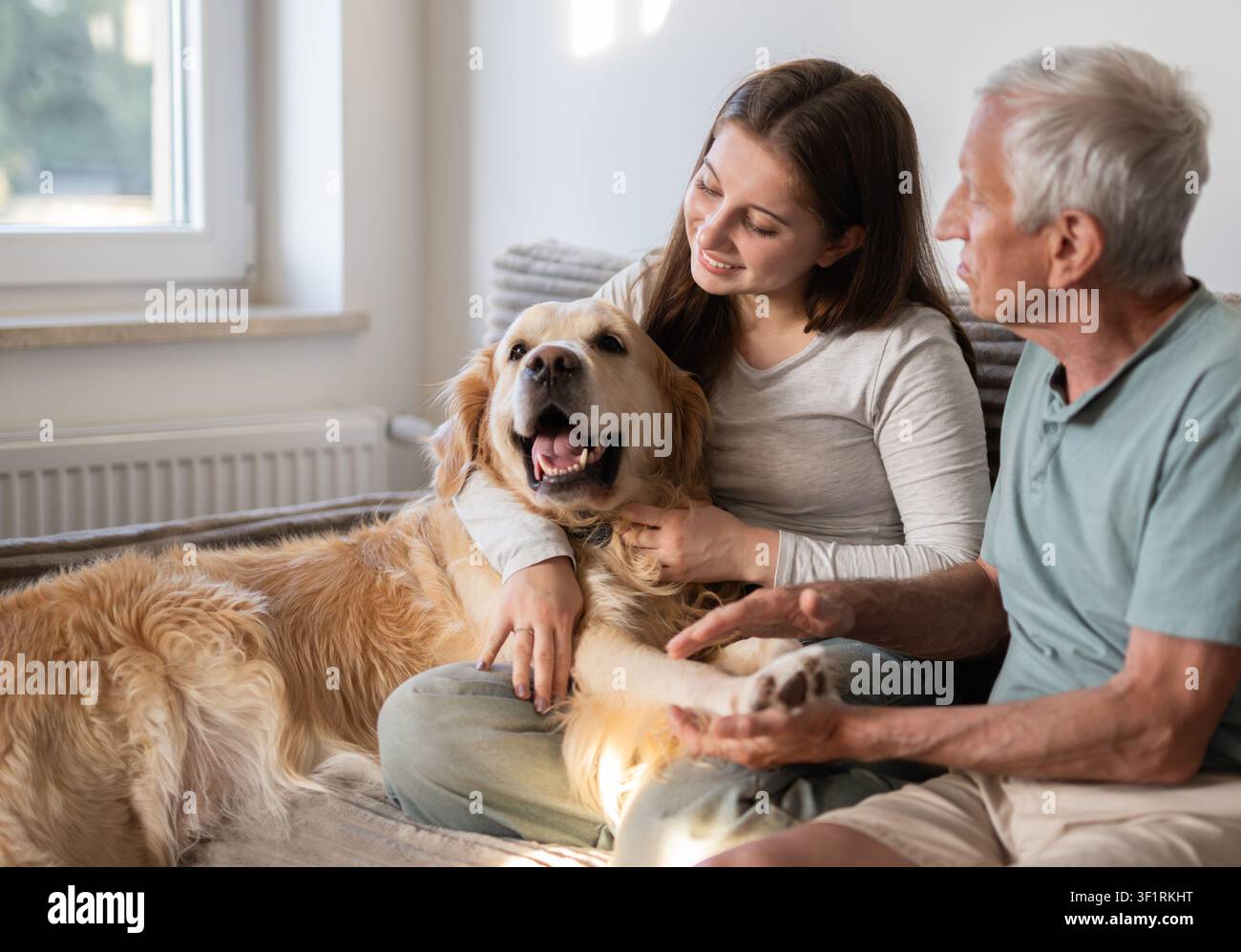 Ragazza felice con il nonno che gioca con un cane Golden Retriever seduto su un divano Foto Stock