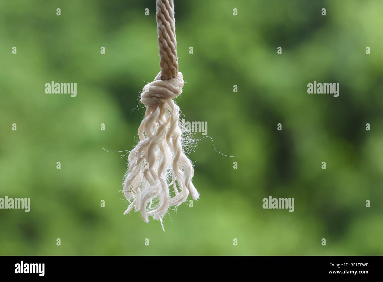 Una nappina di corda di cotone sfilacciata appesa a un cordone annodato con morbide fibre naturali e sfondo sfocato di fogliame verde, texture rustica pacifica e primo piano Foto Stock