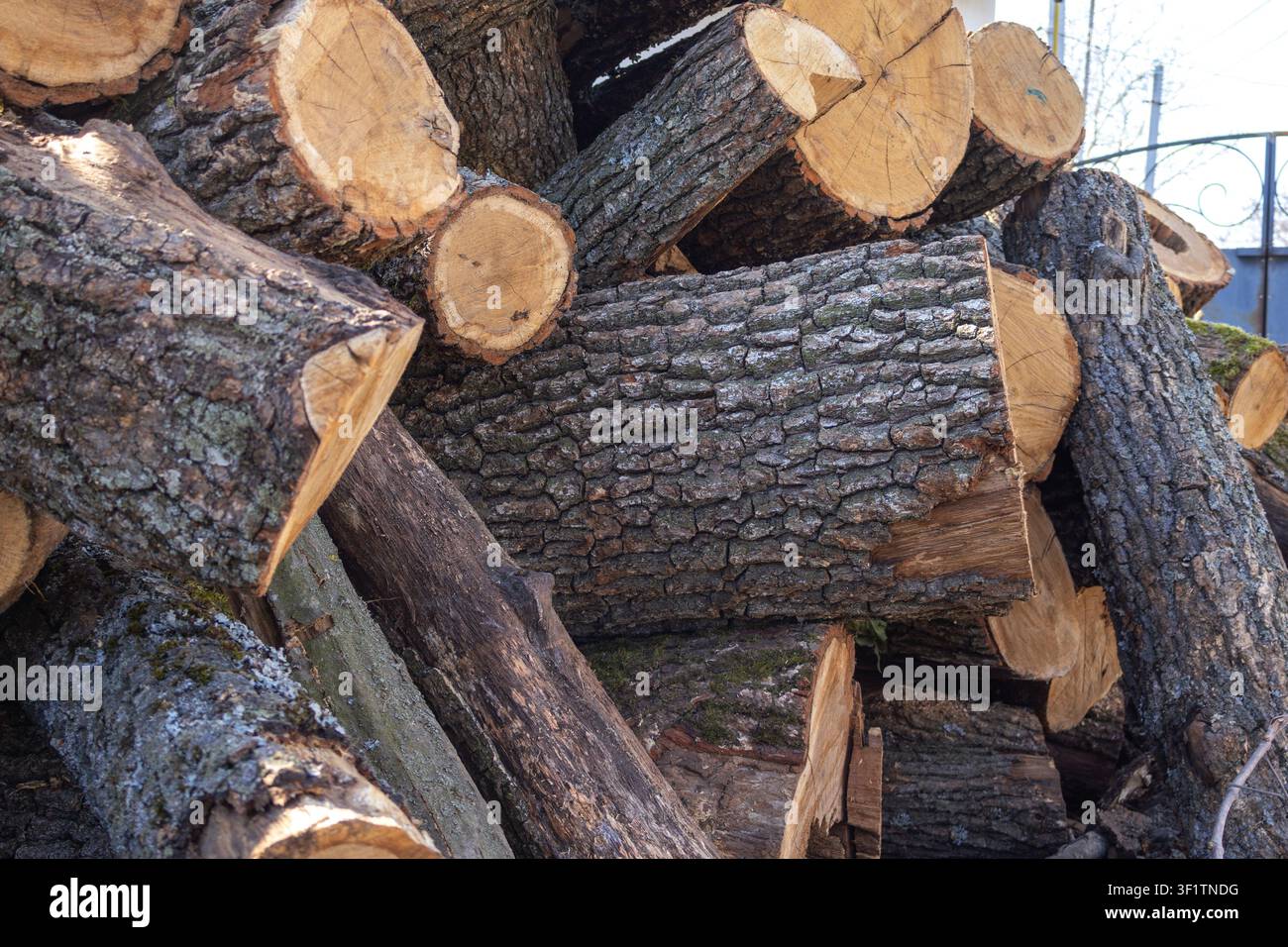 Grande pila di ceppi di legna appena tagliati con anelli degli alberi e texture della corteccia visibili. Legno duro naturale preparato per il riscaldamento, caminetti Foto Stock