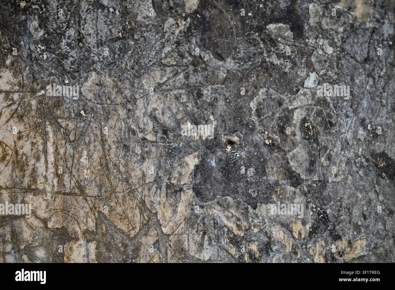 Texture di muro storico disteso con intonaco invecchiato e superfici architettoniche grunge Foto Stock