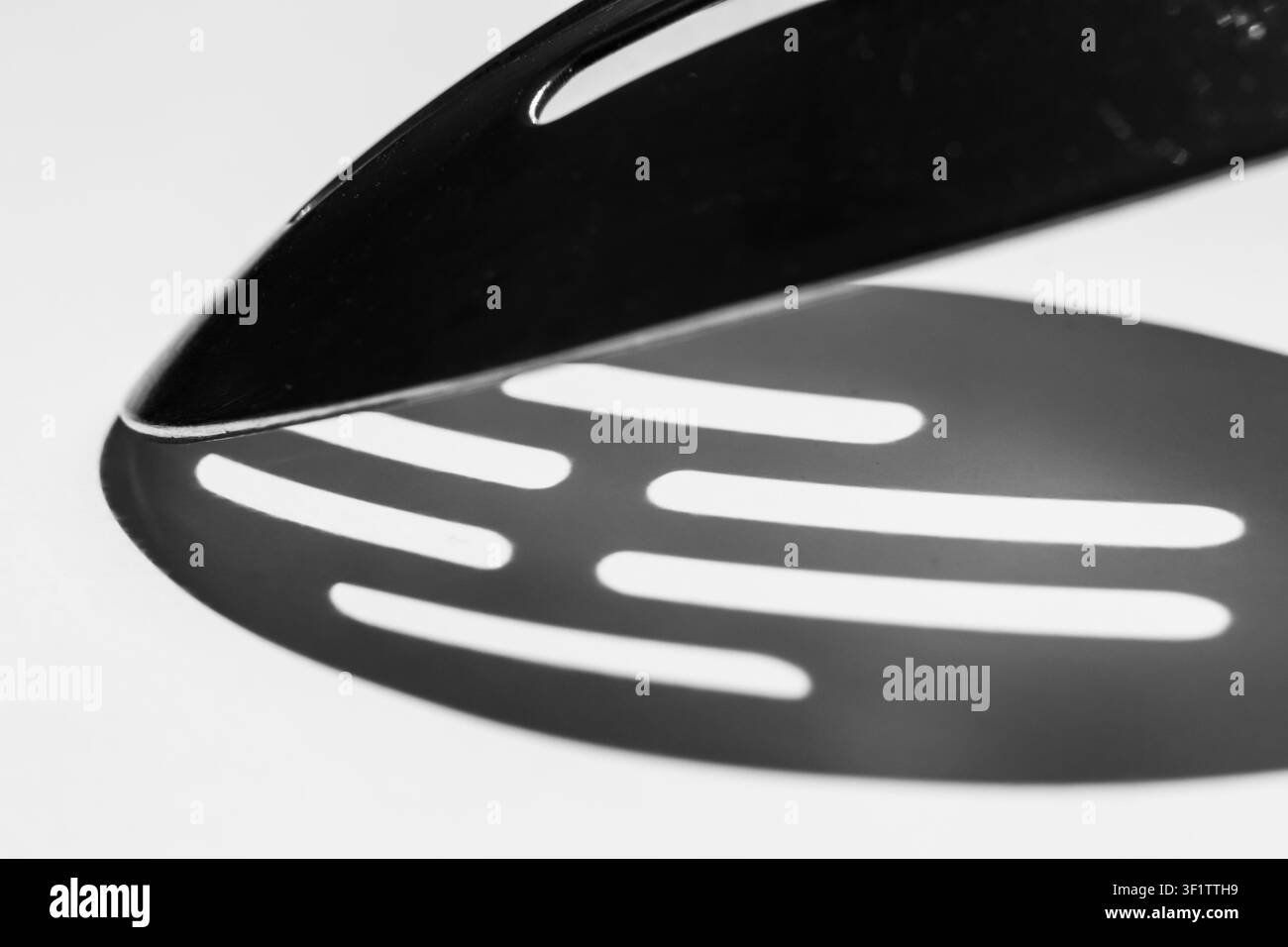 Testa di spatola a fessura che proietta un'ombra a forma di ventaglio in bianco e nero Foto Stock